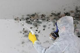 Mold Remediation for Vacation Homes in Pelham, AL